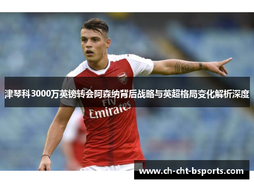 津琴科3000万英镑转会阿森纳背后战略与英超格局变化解析深度 津琴科3000万英镑转会阿森纳背后战略与英超格局变化解析深度